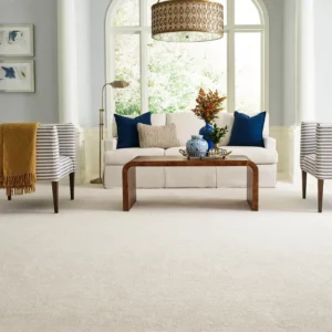 Carpet in living room | Key Carpet Corporation