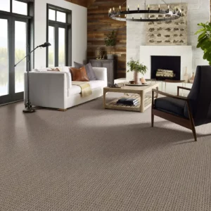 Carpet in a sitting room | Key Carpet Corporation