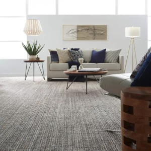 Carpet in a modern living room | Key Carpet Corporation