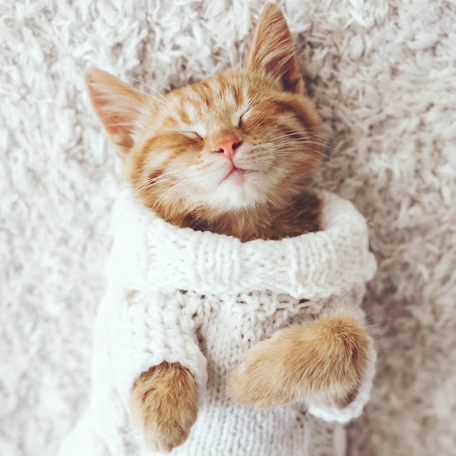 Carpet | Key Carpet Corporation